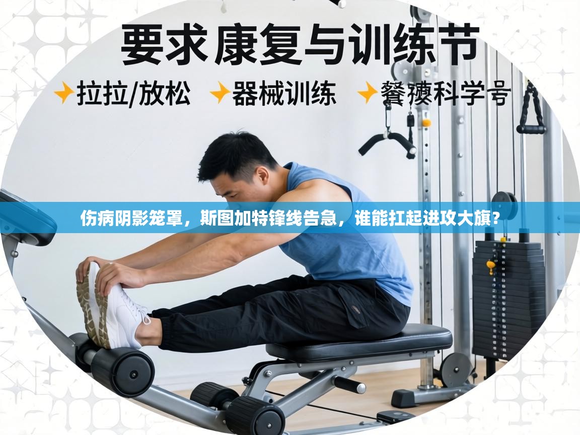 伤病阴影笼罩,斯图加特锋线告急,谁能扛起进攻大旗? 第1张