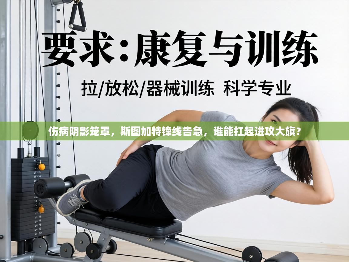 伤病阴影笼罩,斯图加特锋线告急,谁能扛起进攻大旗? 第2张