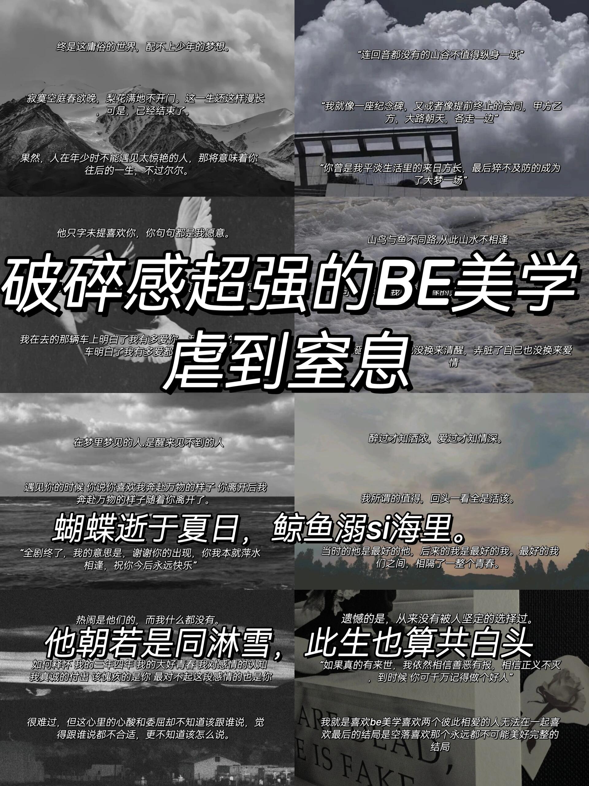 爱游戏直播-关于斯图加特面对霍芬海姆，追求赢球的梦想的信息